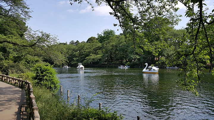 三星 NOTE 5 初夏 日本 實拍 分享 (日光)