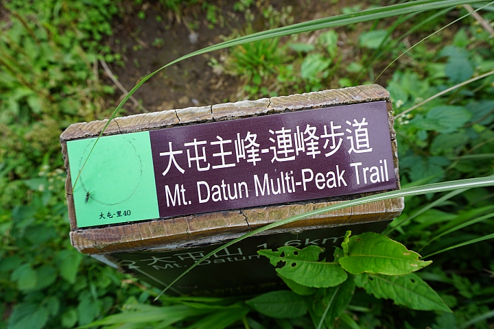 大屯山 - 大屯坪 - 二子坪 - 大屯自然公園 - 菜公坑山  ( 42 P )