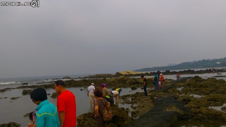 台東 富山魚業資源區 散步遊