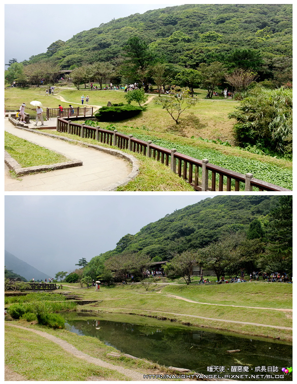 【公路美景好療癒】陽金公路一日遊，路線1.2.3.4 任你遊