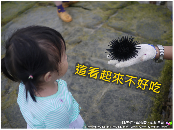 〈澎湖好好玩〉揪團來去漁村住一晚！無菜單行程驚喜連連金促咪！