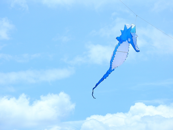 Nikon P900記錄2016屏東風箏節+內埔榮民之家黃金雨隧道