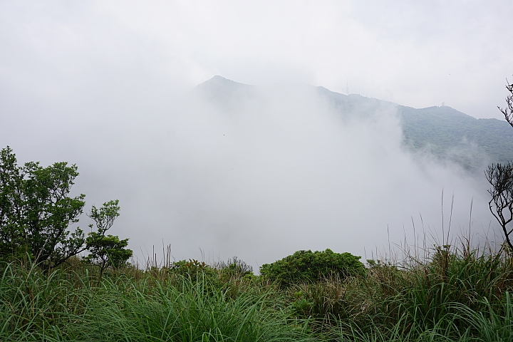 大屯山 - 大屯坪 - 二子坪 - 大屯自然公園 - 菜公坑山  ( 42 P )