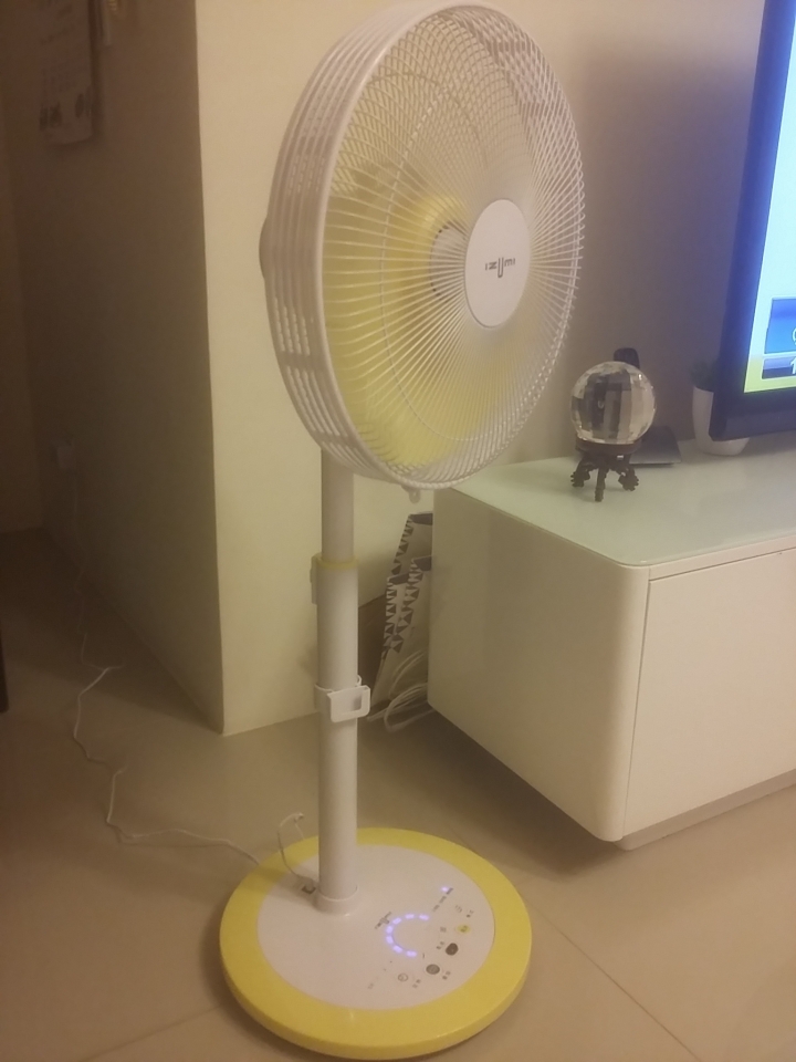日本izumi green fan 14吋 不專業開箱文