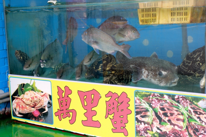 新北野柳。珠海活海鮮。鮮活海味