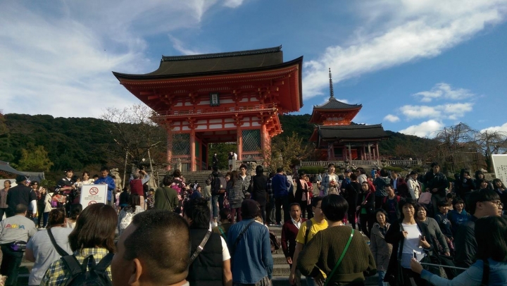 【日本。關西】《京都》一日遊散策路線。二条城、八坂神社、二年坂、清水寺、伏見稻荷神社