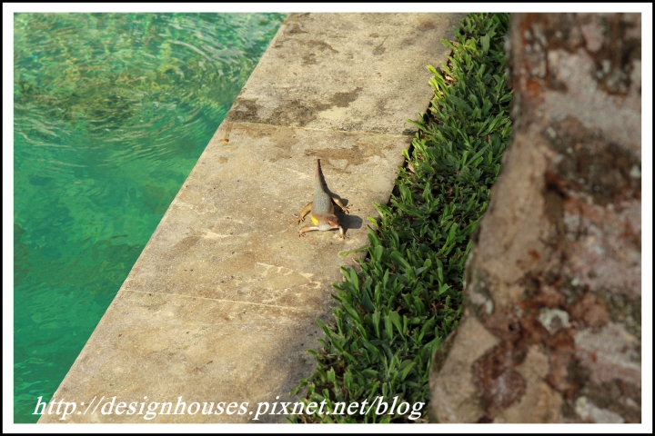 [峇里島 Bali住宿推薦] Ubud Padi villas 烏布帕迪別墅｜獨棟稻田景VILLA房型、特色早餐自由行