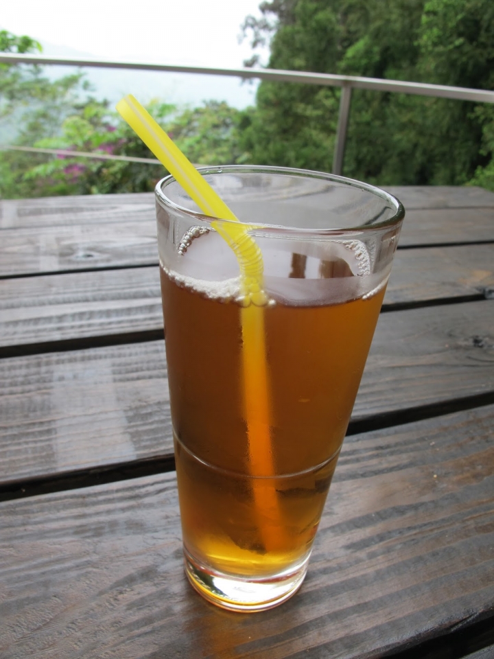 台灣農林熊空茶園。來三峽山上品茶