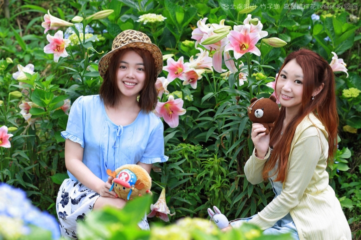 【台北景點】2016.5.15花況 陽明山秘境 高家繡球花園 竹子湖 水車寮步道 近湖田國小