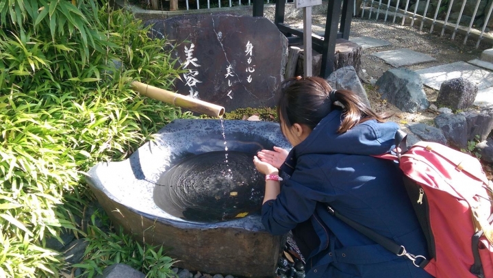 【日本。關西】《京都》一日遊散策路線。二条城、八坂神社、二年坂、清水寺、伏見稻荷神社