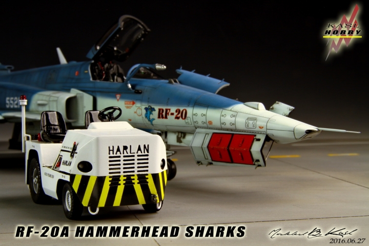 [作品分享]1/48 RF-20A Hammerhead shark