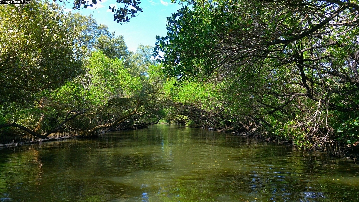 (第54批圖) LG G4 &G5&V10 日夜拍研究團 精選作品2016.6.1