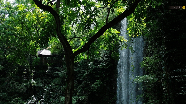 (第54批圖) LG G4 &G5&V10 日夜拍研究團 精選作品2016.6.1