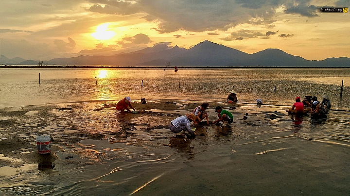 (第54批圖) LG G4 &G5&V10 日夜拍研究團 精選作品2016.6.1