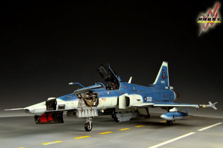 [作品分享]1/48 RF-20A Hammerhead shark