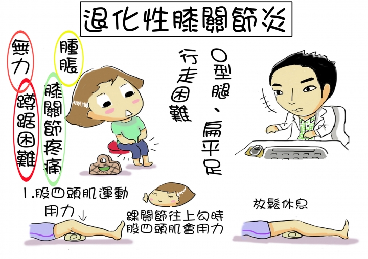 ~史上最完整 復健科 運動傷害衛教單 請服用~