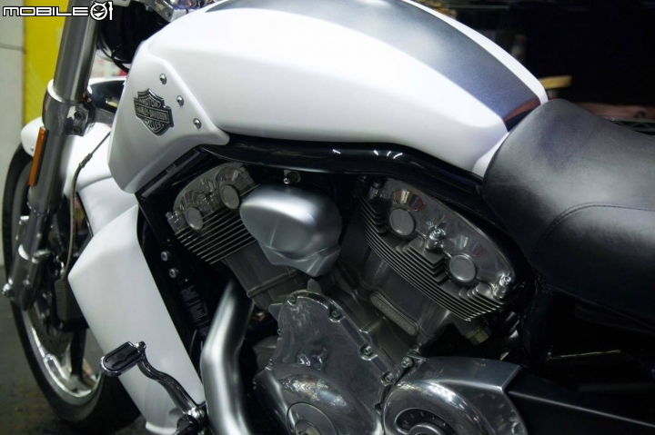 新馬子 v-rod Muscle 霧白色