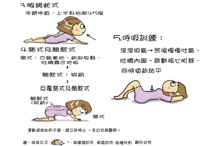 ~史上最完整 復健科 運動傷害衛教單 請服用~