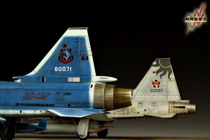 [作品分享]1/48 RF-20A Hammerhead shark