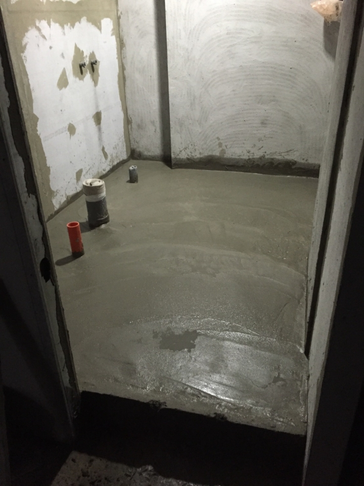 廁所有"衣魚"  是濕氣還是漏水(排水問題)? ((((((求救))))))))