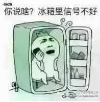 大巨蛋已经很棒了，比烂的话里约奥运会远超台北世大运