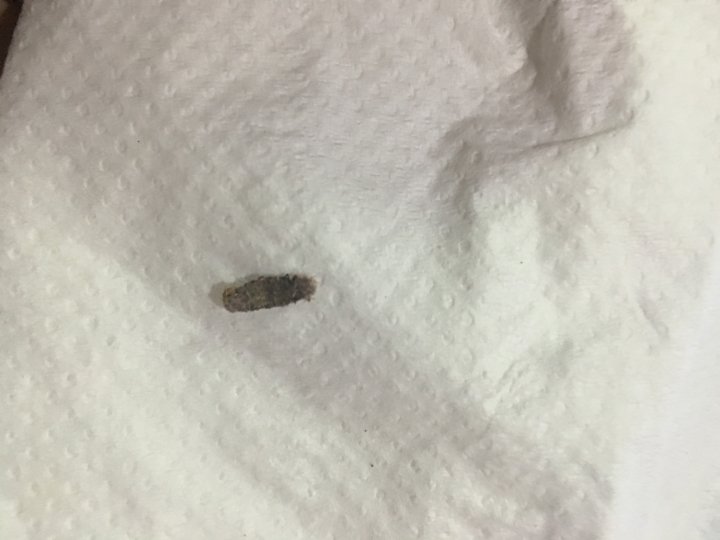 在房間發現這奇怪的生物，求解?