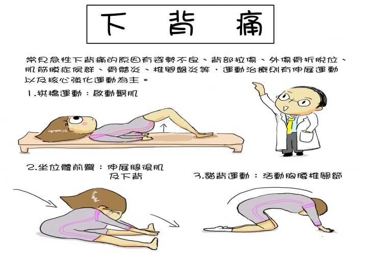 ~史上最完整 復健科 運動傷害衛教單 請服用~