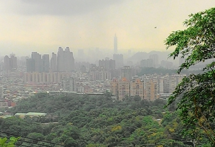 比熊犬與我一起仰攻烘爐地
