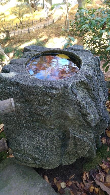 【日本。北陸】《金澤》日本三大名園之一《兼六園》紅楓滿開&金澤限定杯緣子