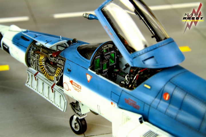 [作品分享]1/48 RF-20A Hammerhead shark