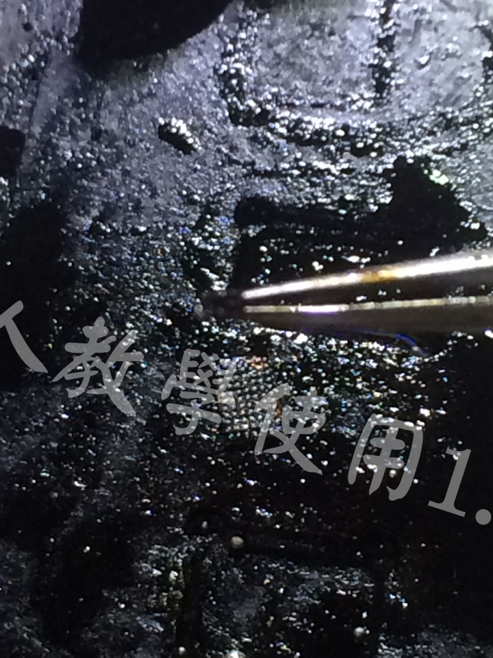I Phone 玻璃體晶片封膠處理《維修分享》