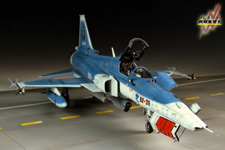 [作品分享]1/48 RF-20A Hammerhead shark