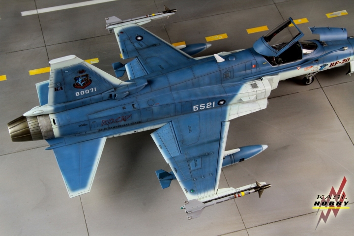 [作品分享]1/48 RF-20A Hammerhead shark