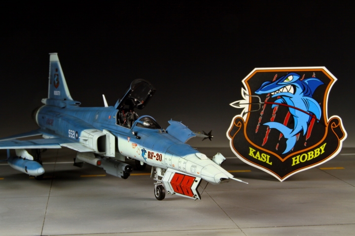 [作品分享]1/48 RF-20A Hammerhead shark