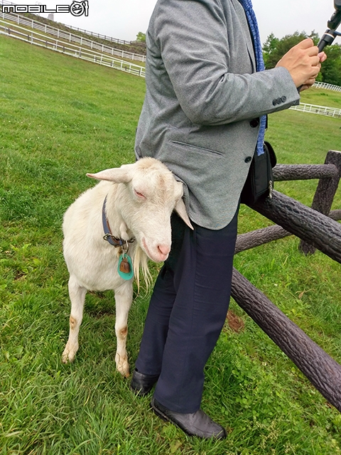 清里高原まきば公園 豪邁吃美食 再去牧場散步