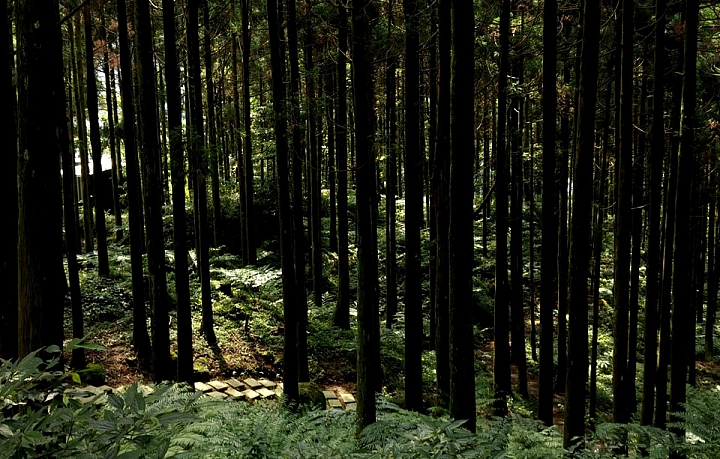 (第54批圖) LG G4 &G5&V10 日夜拍研究團 精選作品2016.6.1