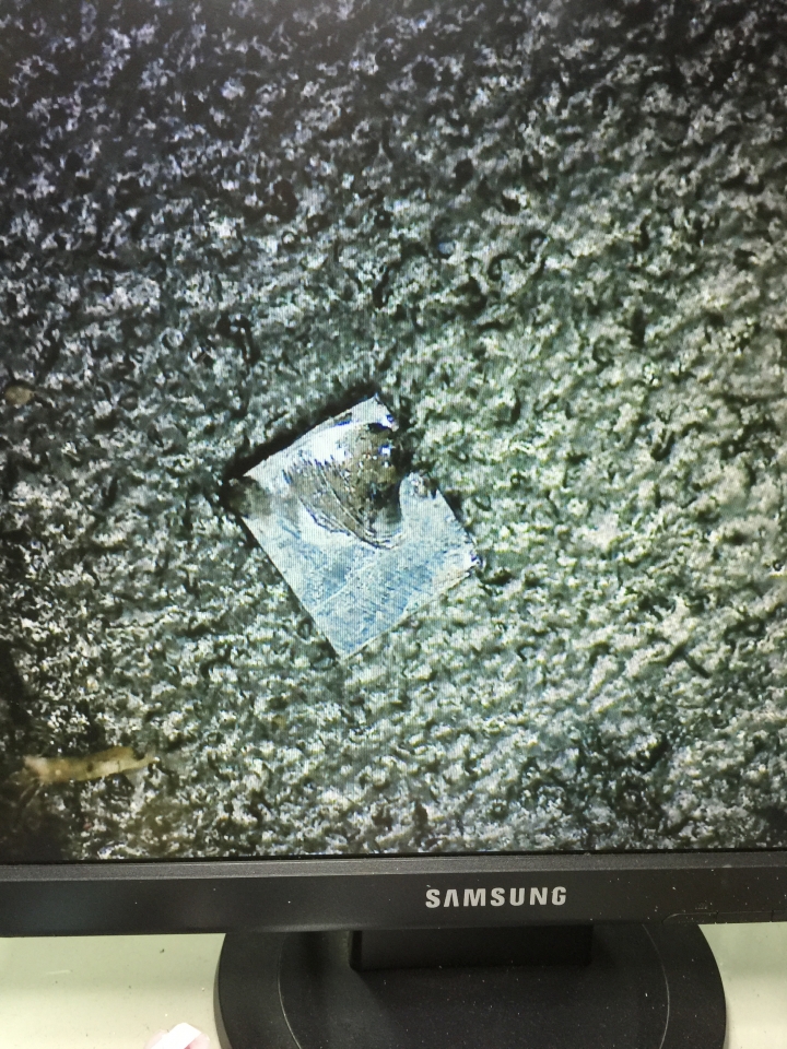 iPhone6不開機維修