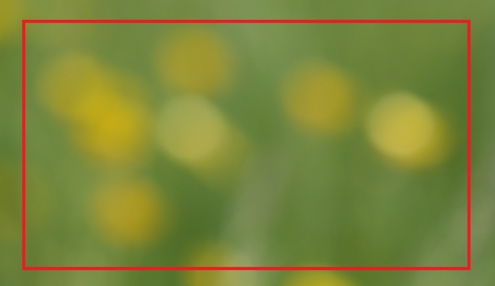 The champion of bokeh 散景之冠 Zeiss Milvus 1.4/85 ZE 不專業解毒介紹測試