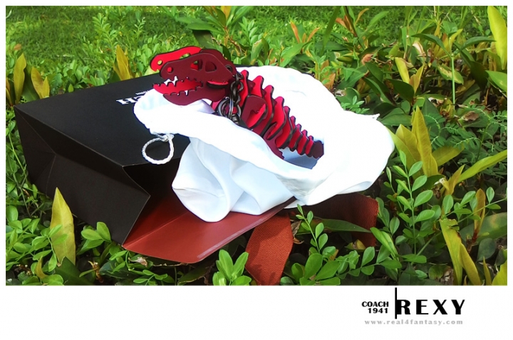 【COACH】恐龍出沒 - 我的 Rexy 究古錐