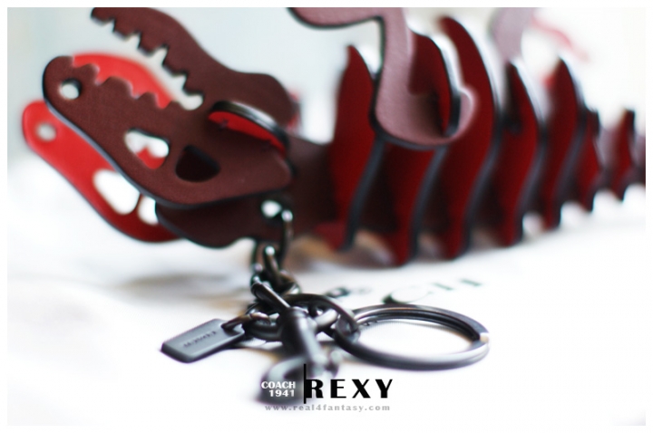 【COACH】恐龍出沒 - 我的 Rexy 究古錐