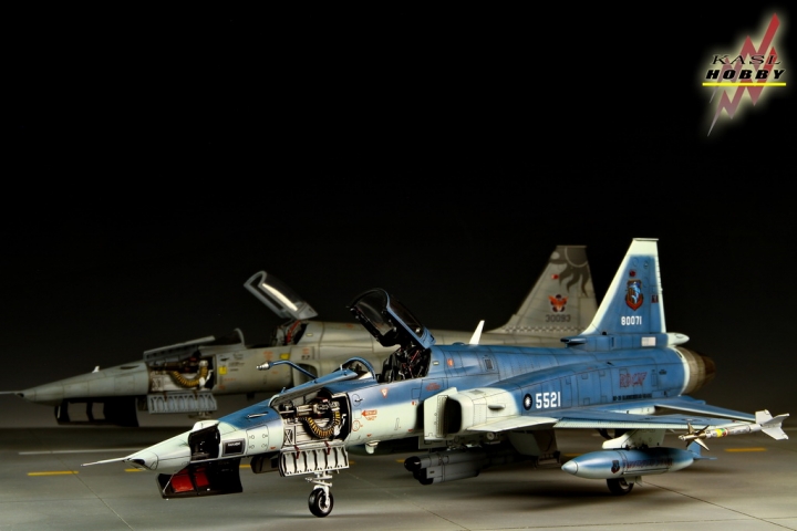 [作品分享]1/48 RF-20A Hammerhead shark