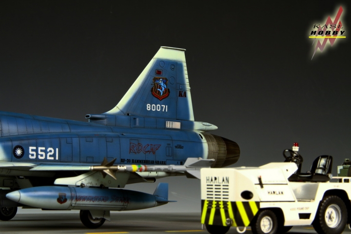 [作品分享]1/48 RF-20A Hammerhead shark