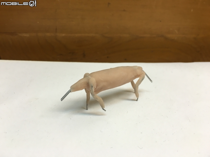 [動物創作]1/10 磷灰獸(Phosphatherium)