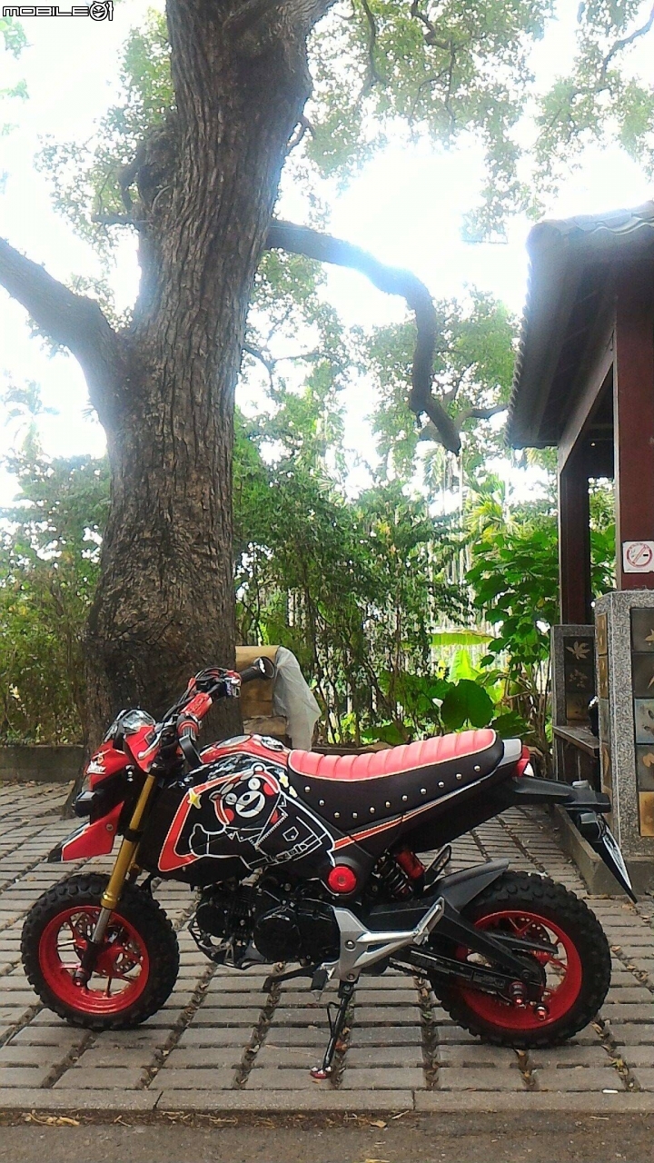 好玩又吸睛的新玩具MSX-125 KUMAMONKEY
