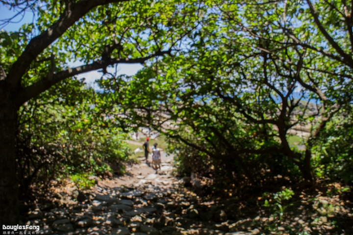 【遊記│台東台東市】小野柳地形景觀區