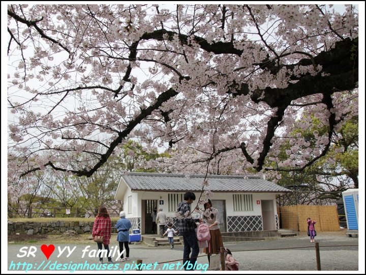 {日本九州遊} [推薦景點] 福岡賞櫻花季 賞櫻名所 舞鶴公園