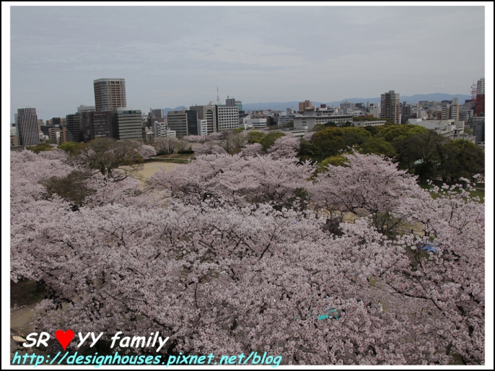 {日本九州遊} [推薦景點] 福岡賞櫻花季 賞櫻名所 舞鶴公園