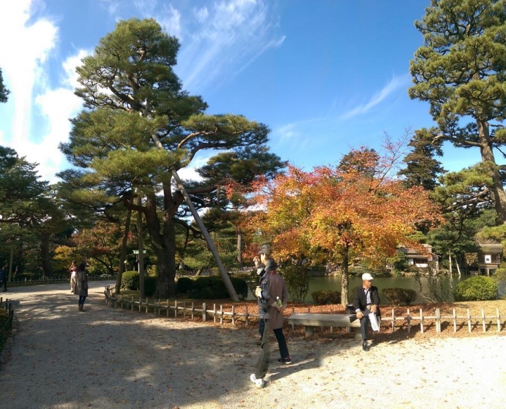 【日本。北陸】《金澤》日本三大名園之一《兼六園》紅楓滿開&金澤限定杯緣子