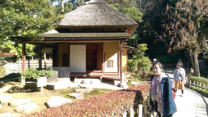 【日本。北陸】《金澤》日本三大名園之一《兼六園》紅楓滿開&金澤限定杯緣子