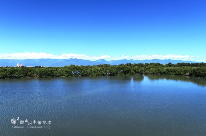 屏東~東港黑鮪魚季 崁頂公園賞蓮 華僑市場吃黑鮪魚 東隆宮 大鵬灣國家風景區 鵬灣跨海大橋